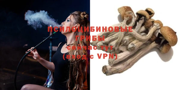 ECSTASY Рославль