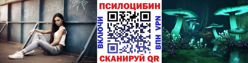 хочу   Кимовск  Псилоцибиновые грибы Magic Shrooms 